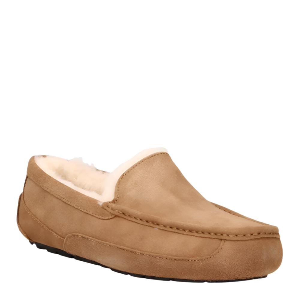 Sienna Ugg Men's Ascot Suede Slipper Chestnut