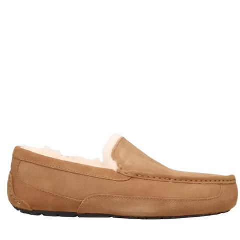 Sienna Ugg Men's Ascot Suede Slipper Chestnut