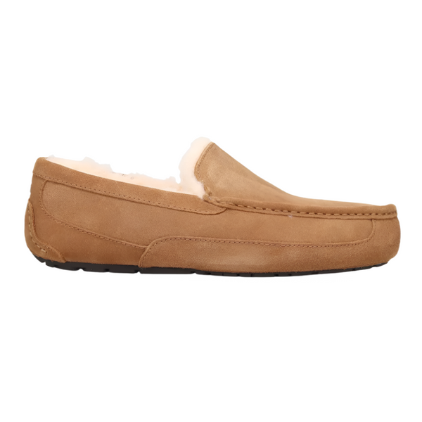 Sienna Ugg Men's Ascot Suede Slipper Chestnut