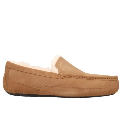 Ugg Men's Ascot Suede Slipper Chestnut Wide