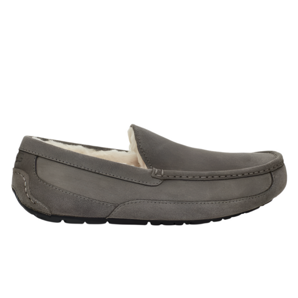 Dim Gray Ugg Men's Ascot Slipper Grey