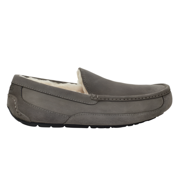 Dim Gray Ugg Men's Ascot Slipper Grey