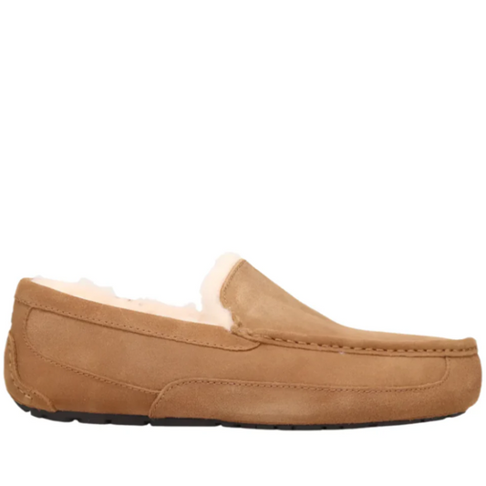 Sienna Ugg Men's Ascot Suede Slipper Chestnut