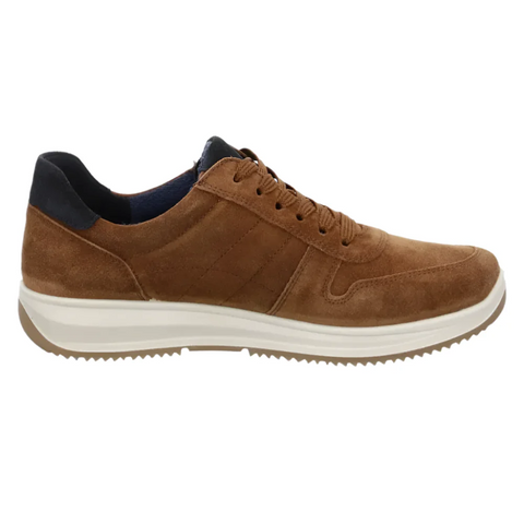 Saddle Brown Ara Women's Onyx Zip Sneaker Nuts Suede