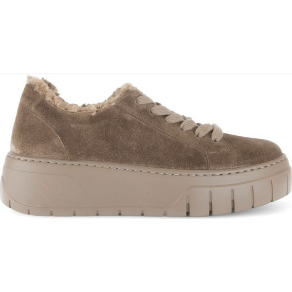 Rosy Brown Gabor Women's Romana Suede Farro / Lion