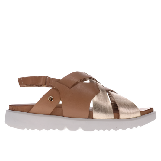 Dim Gray Revere Women's Bermuda Comfort Sandal Tan / Gold